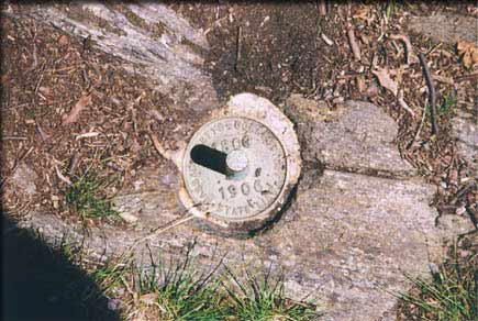 brass-pin-frissell.jpg (51966 bytes)