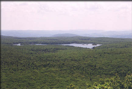 south-pond-frissell.jpg (25595 bytes)