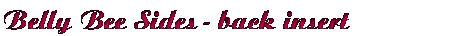 bellyBeesideBk-Insert.gif (2849 bytes)