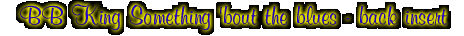 somethingBoutBlues-back.gif (8981 bytes)