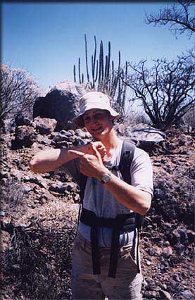 cholla_01.jpg (32722 bytes)