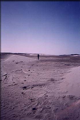 guerro_dunes_01.jpg (17364 bytes)