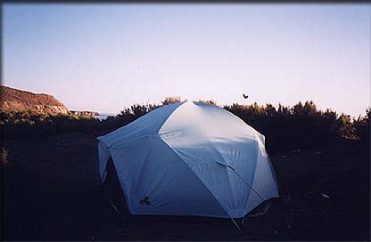 mulege_tent_cw_01.jpg (10970 bytes)