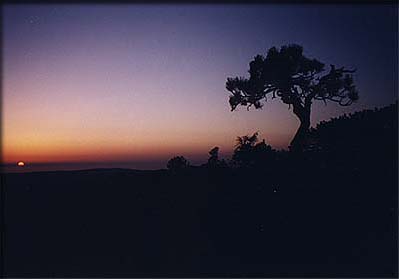 sunset_camp2_cw_01.jpg (6825 bytes)
