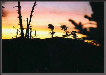 HEADINGBACKTOCAMP.jpg (12278 bytes)