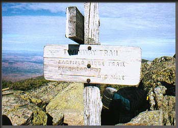 NINEMILES.jpg (22960 bytes)
