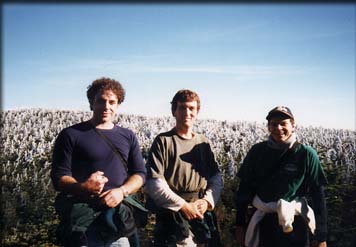 chillyAfternoon_01.jpg (15679 bytes)