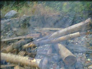 log_jam.jpg (13018 bytes)