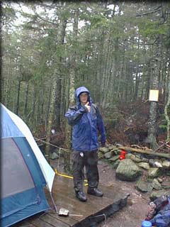 this_is_great.jpg (19625 bytes)